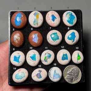 May include: A collection of sixteen oval-shaped opals in a black tray, each with unique internal patterns of blue, green, and yellow. The opals are set against a neutral background, with a U.S. nickel for size comparison. The opals vary in color and pattern.