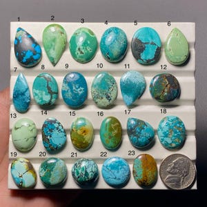 May include: A selection of twenty-three turquoise gemstones in diverse shapes and hues of blue, green, and brown. The gemstones are presented on a white surface, with a coin for scale. Each stone exhibits unique veining and patterns, showcasing natural variations.