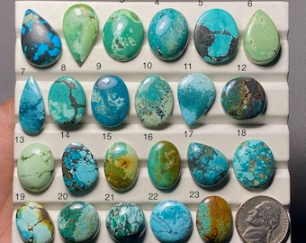 May include: A collection of twenty-three turquoise gemstones in various shapes and shades of blue, green, and brown. The gemstones are displayed on a white surface, with a nickel coin for size comparison. Each stone has unique veining and patterns.