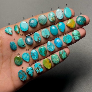 Puede incluir: Una mano muestra una colección de 31 piedras preciosas de turquesa de varias formas y tamaños. Las piedras varían en color desde azul claro hasta verde azulado intenso, con patrones de matriz marrón y amarillo. Cada piedra está numerada.