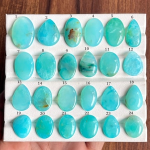 May include: A collection of twenty-four polished, cabochon-cut turquoise-colored gemstones arranged in a white display tray. Each stone is numbered from 1 to 24 and features varying shades of blue-green with unique natural inclusions.