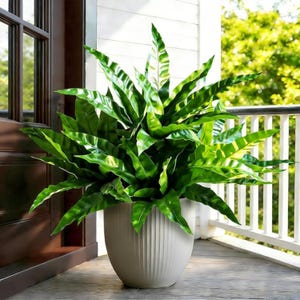 Fake Ferns UV Resistant Outdoor Plants | Real Touch Artificial Greenery for Home Garden Decor