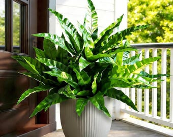 Felci artificiali resistenti ai raggi UV, piante da esterno / Verde artificiale dall'aspetto realistico per la decorazione di casa e giardino