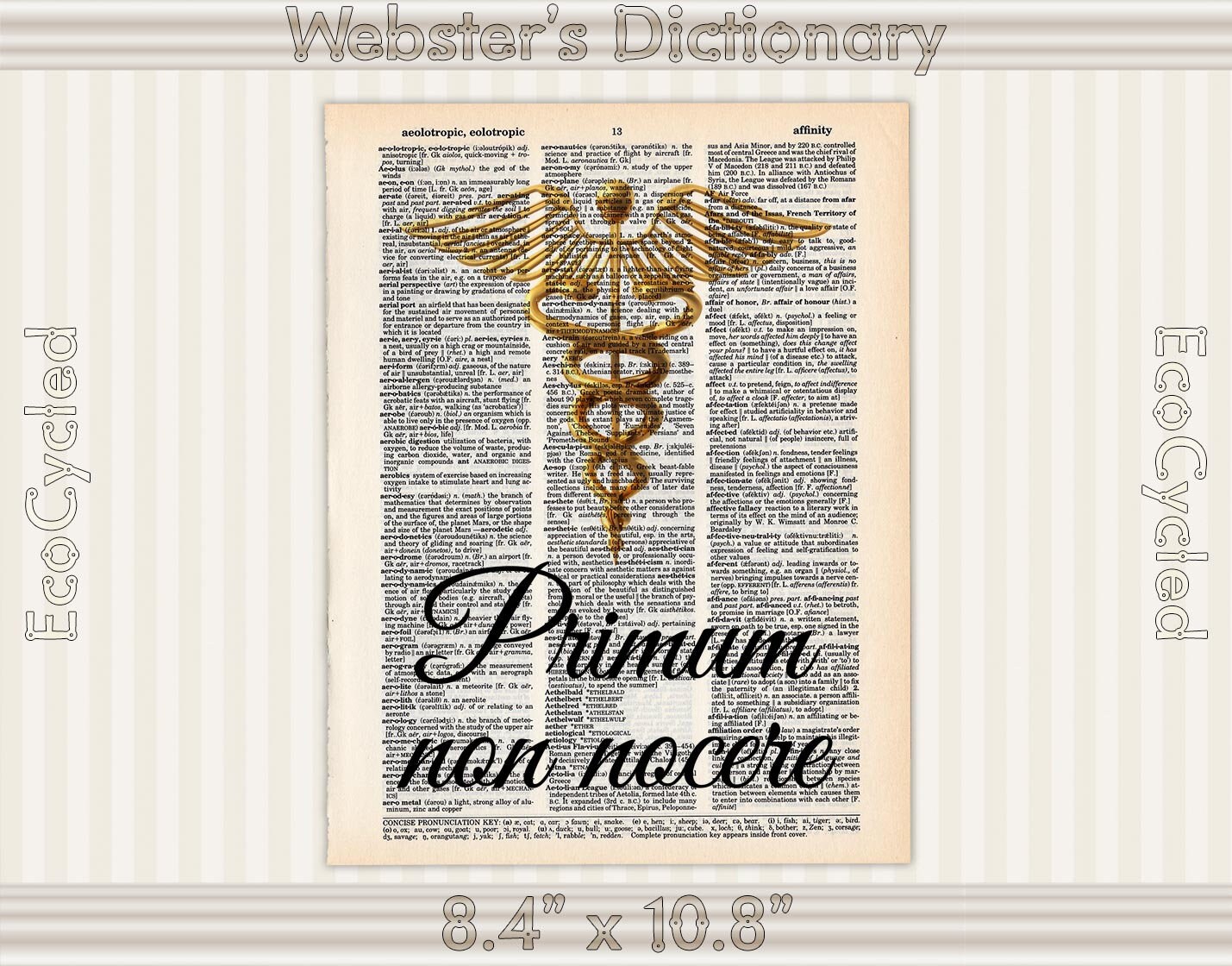 Hippocratic Oath Primum non nocere Latin First Do No Harm | Etsy