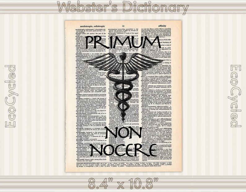 Latin First Do No Harm Hippocratic Oath Primum non nocere | Etsy