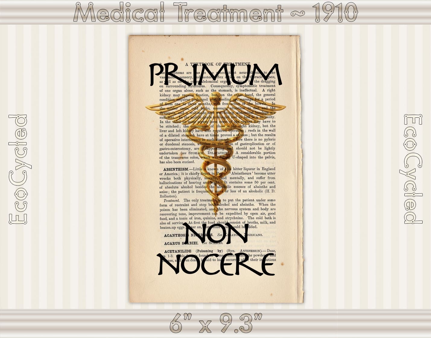 Primum non nocere Hippocratic Oath Latin First Do No Harm | Etsy