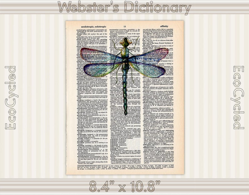 ART PRINT ORIGINAL VINTAGE MUSIC SHEET Page DRAGONFLY FLOWER PINK BOTANICAL ART