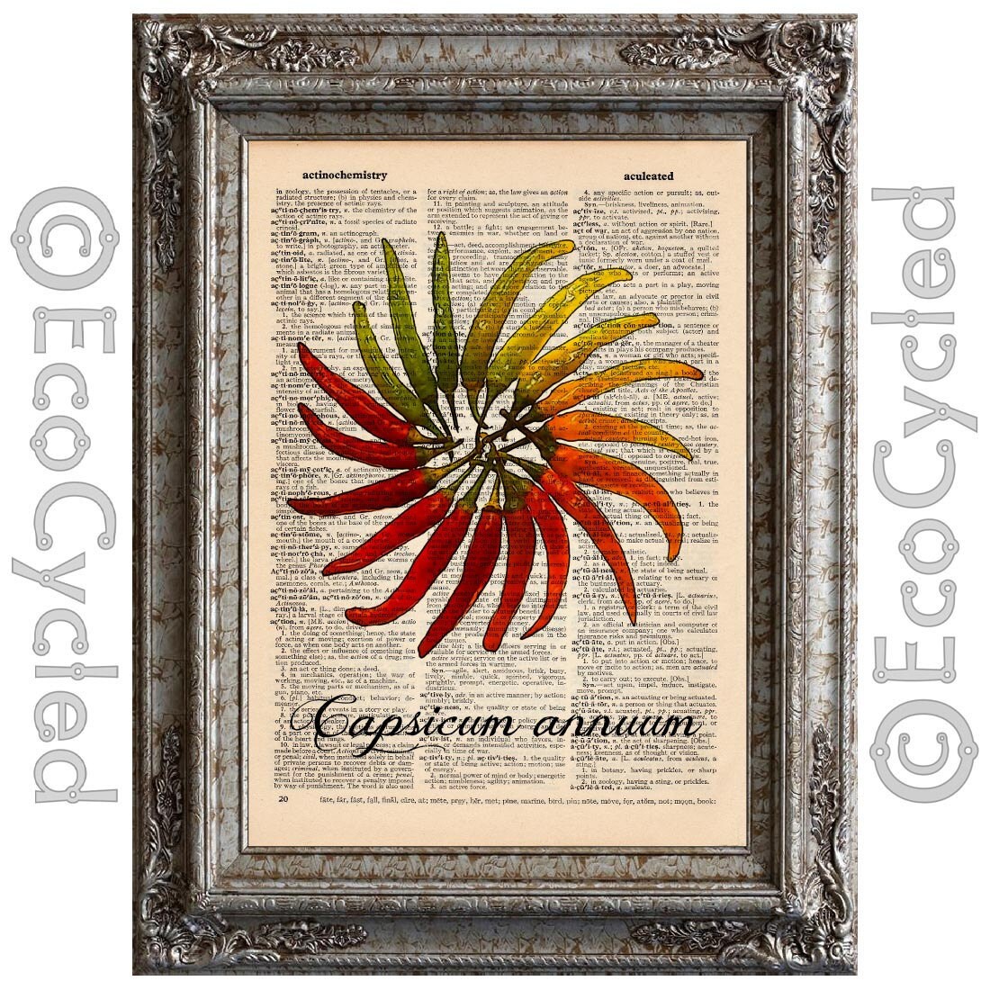 Chili Peppers 2 on Vintage Upcycled Dictionary Art Print Book Etsy