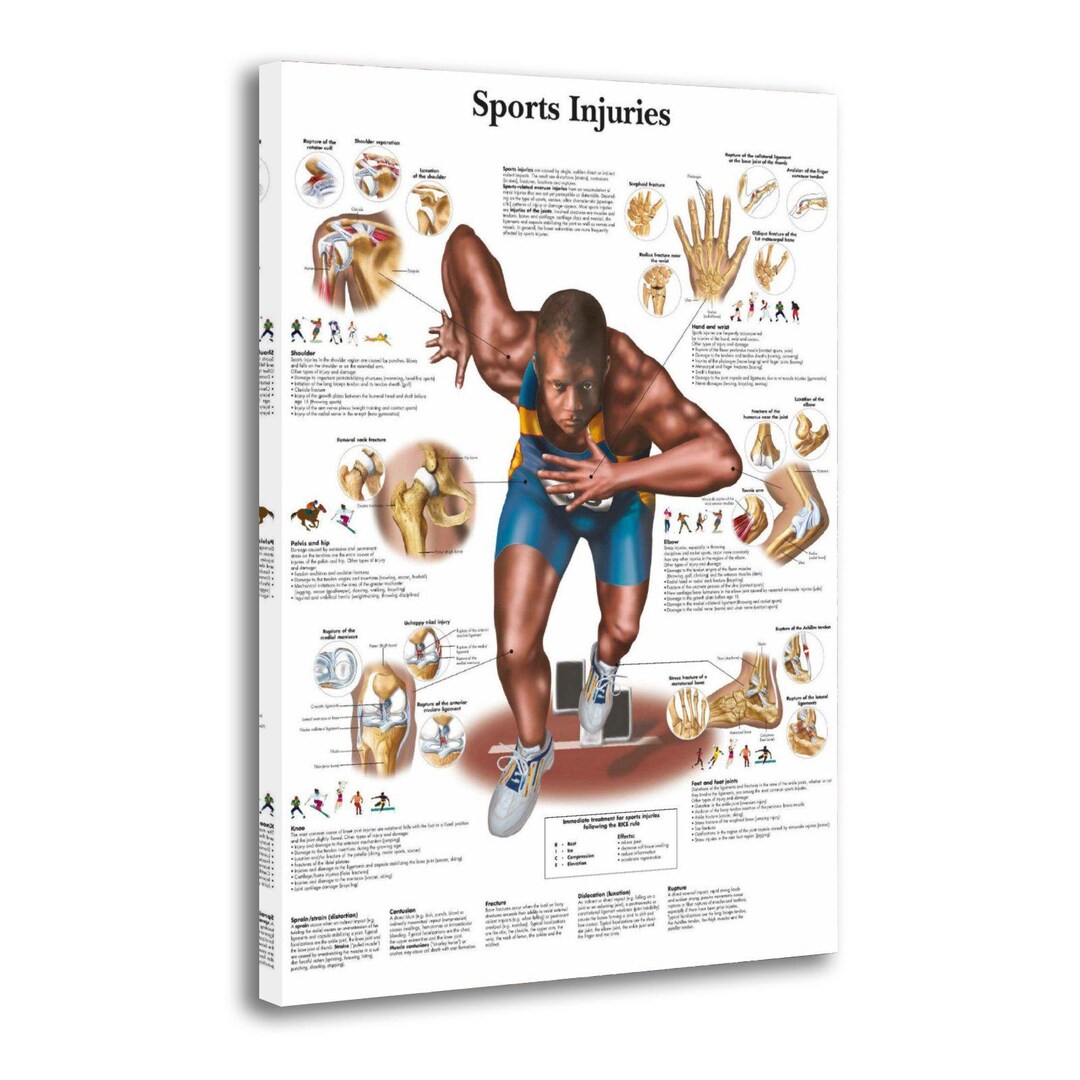 Printmaking Injury Sports Injuries Anatomical Chart, Medical Canvas Print - Etsy UK