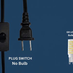 May include: Black electrical plug, switch, and G9 LED bulb on a blue background. The text "PLUG SWITCH No Bulb" is below the switch. The text "G9 LED Bulb" is next to the bulb.