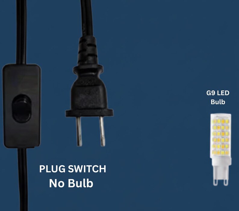 May include: Black electrical plug, switch, and G9 LED bulb on a blue background. The text "PLUG SWITCH No Bulb" is below the switch. The text "G9 LED Bulb" is next to the bulb.