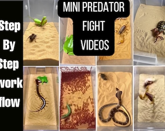 Mini Predator Fight Workflow, AI Content Generator,ChatGPT Prompt Pack,Sora AI Prompts,Viral Video Prompts, Instagram Reels,Faceless Content