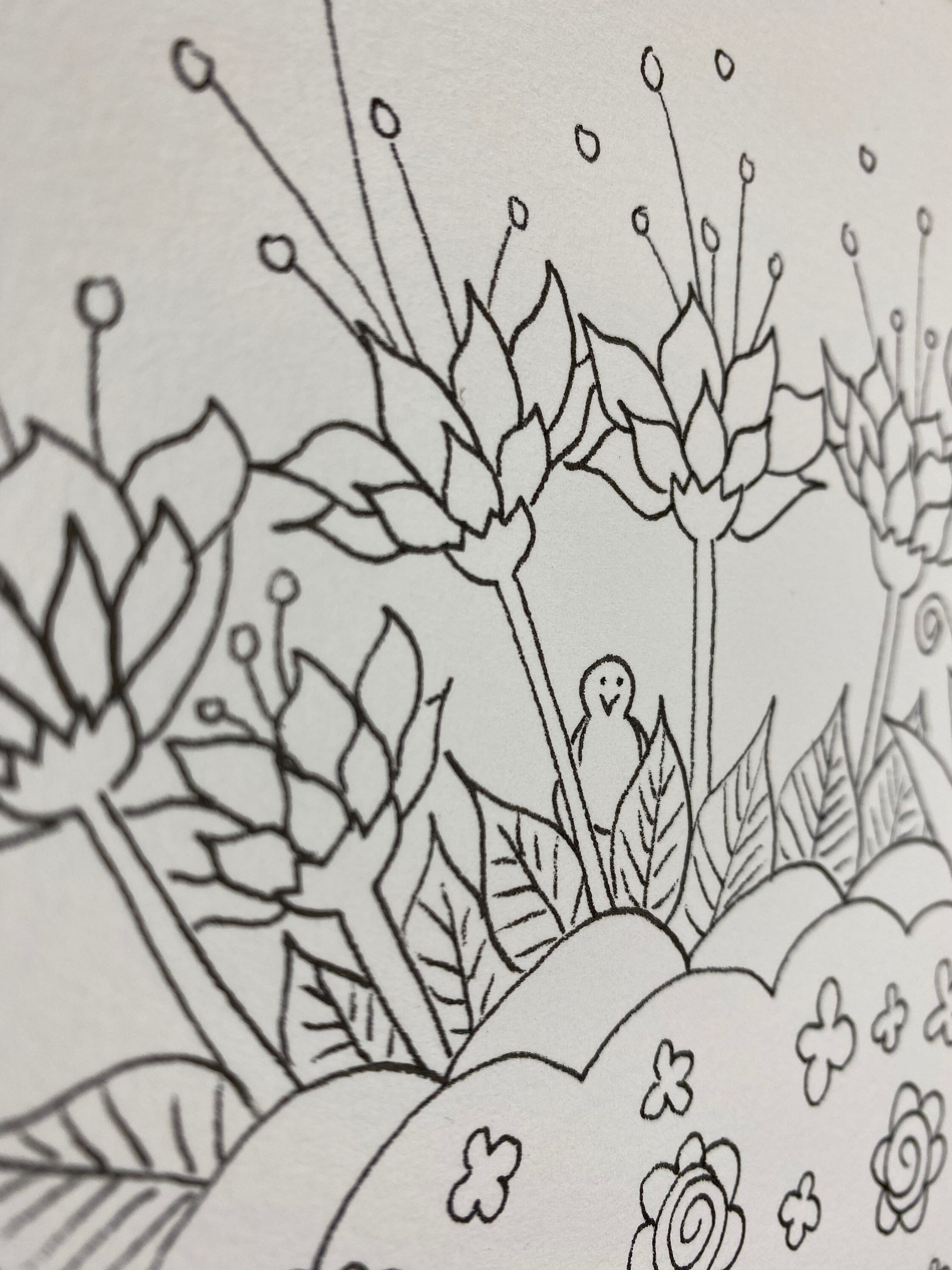 3 A4 colouring sheets digital download | Etsy