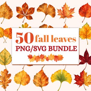 Peut inclure: Une collection numérique de diverses feuilles d'automne style aquarelle dans des tons orange, rouge, jaune et marron. L'encart rectangulaire blanc central affiche le texte orange et rouge : 50 fall leaves PNG/SVG BUNDLE.