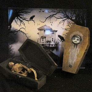 Dark Creation Memento Mori Inspired Stuffed Skeletal Casket Detroit Artist/L.Cerrito Freaky Creepy Weird Odd Curiosity