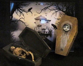 Dark Creation Memento Mori Inspired Stuffed Skeletal Casket Detroit Artist/L.Cerrito Freaky Creepy Weird Odd Curiosity