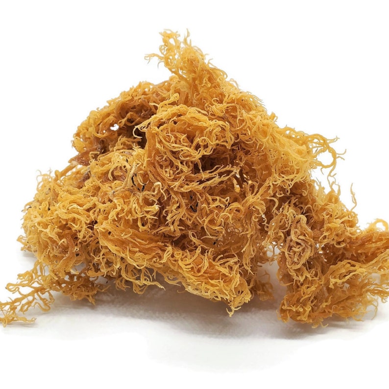 St. Lucian Sea Moss - 4 ounces 