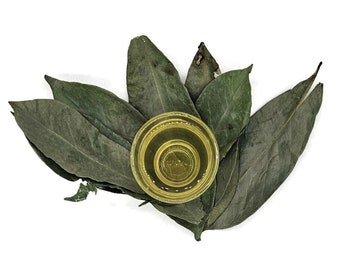 Soursop Leaves