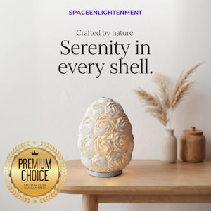 Lámpara bohemia artesanal con forma de concha marina y detalles de pétalos de rosa superpuestos, forma ovalada, iluminación ambiental suave, decoración costera.