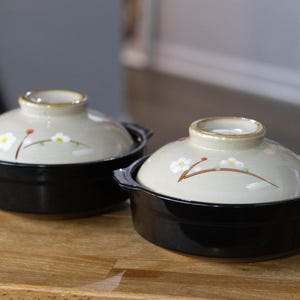 Japanese Donabe Earthenware Clay Pots