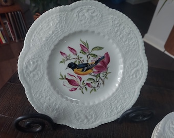 Royal Cauldon Vintage Bristol Ironstone Decorative Plates by Henry A Pausch