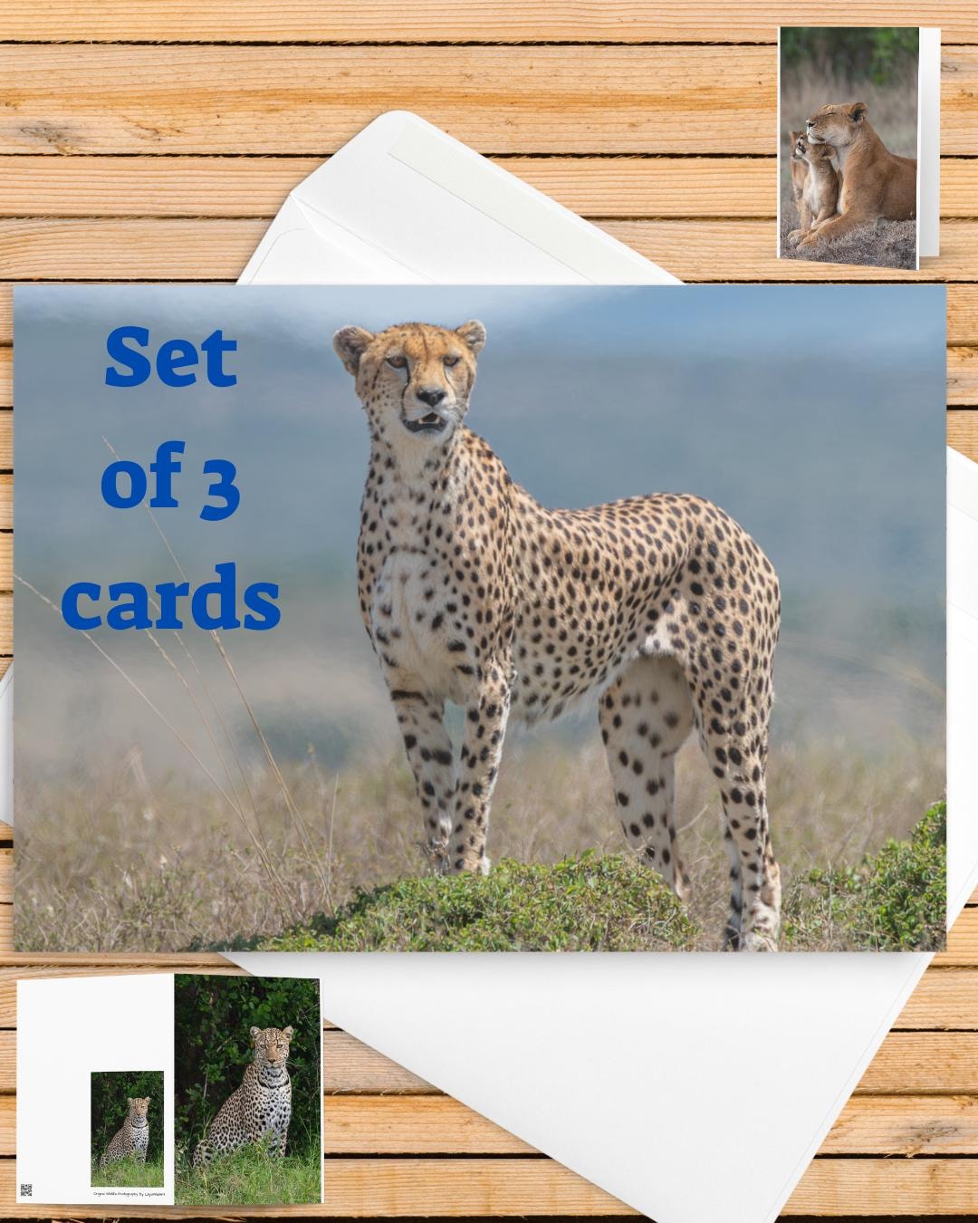 Wildlife Greeting Cards Set of 3 | Leopard Cheetah Lioness & Cub Safari ...