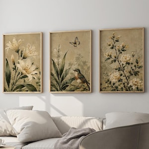 Set di 3 stampe murali botaniche, stampe floreali e di uccelli in stile vintage, decorazioni murali neutre ispirate alla natura.