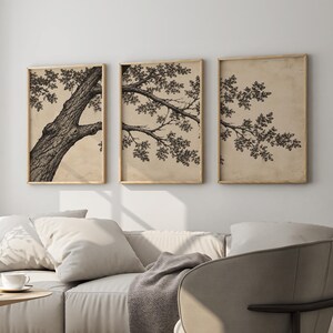 Japanska trädväggkonst set med 3, botaniska tryck, Wabi Sabi neutral dekortriptyk