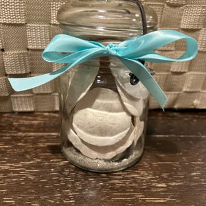 Puede incluir: Un tarro de cristal transparente lleno de dólares de arena y arena, atado con una cinta azul claro. El tarro tiene un asa de metal y una tapa de cristal. El tarro está sobre una superficie de madera marrón oscuro.