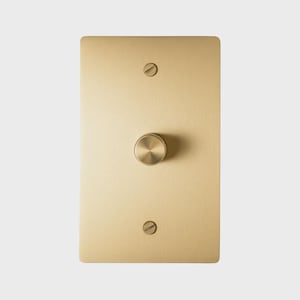 May include: A rectangular, brushed brass dimmer switch plate with a circular dimmer knob in the centre and two small screws. The plate has a minimalist design and a warm, metallic finish.