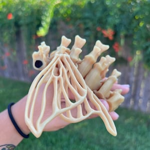Articulated Skeleton Moth Fidget Toy: 3D Printed Bone Moth