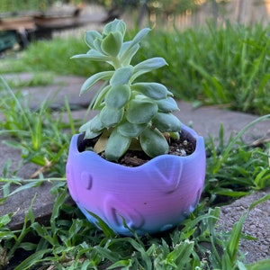 May include: A small succulent plant in a purple and blue ombre egg-shaped planter. The planter has a textured surface and is sitting on a bed of green grass.