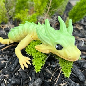 Axolotl Dragon Fidget – Articulated Sensory Toy, Made to Order