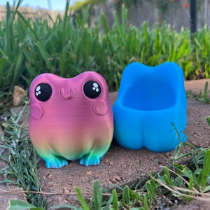 Froggy Succulent Planter - Cute Frog Pot with Adorable Details - Custom Colors – Made to Order