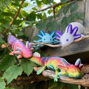 Baby Axolotl Articulated fidget (made to order) sensory Axolotl