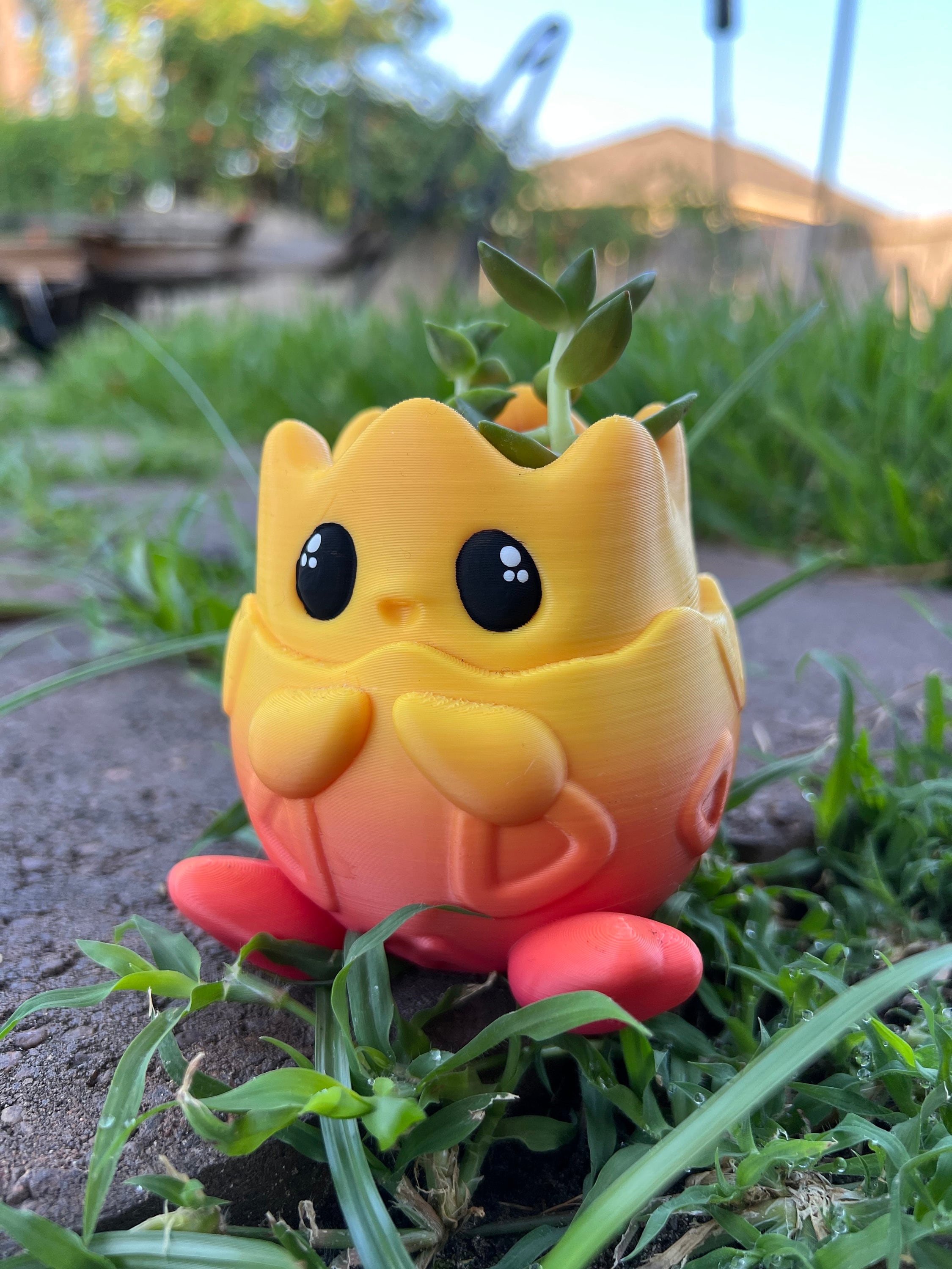 Togepi Pokémon Planter – Cute Desk Organizer, Succulent Pot - Etsy