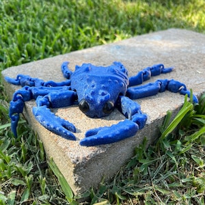 Articulated Spider Crab Fidget Toy: 3D Printed Desk Decor