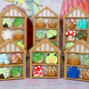May include: Miniature wooden shelves with various handcrafted polymer clay figurines. The shelves are tan with white trim, each holding two levels of tiny plants, mushrooms, and a frog. The figurines are in shades of green, brown, red, and blue.