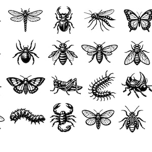 Puede incluir: Una colección de ilustraciones de insectos en blanco y negro, que incluye una libélula, una mariposa, una abeja, una araña y más. Los dibujos detallados están dispuestos sobre un fondo blanco, mostrando varias especies de insectos.