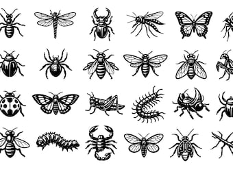 Paquete de archivos SVG de insectos: 24 ilustraciones únicas de insectos con contorno negro, líneas gruesas, fondo blanco, archivos de corte para Cricut y Silhouette.