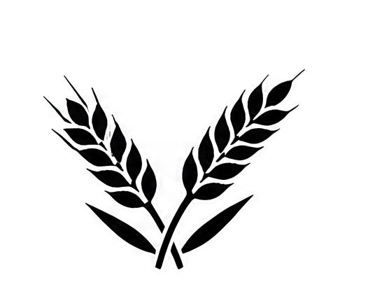 Wheat Ears SVG Bundle – 25 Unique Black Outline Grain Icons, Bold Line ...