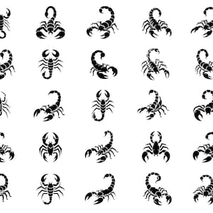 Scorpion SVG-clipartbundel – 25 verschillende ontwerpen met zwarte omtrek spinachtige, gedurfde lijnkunstcollectie, witte achtergrond, compatibel met Cricut