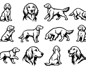 Bundel Ierse setter SVG-pictogrammen - 18 opvallende zwarte contouren Canine Lineart-collectie puur witte achtergrond Cricut silhouet