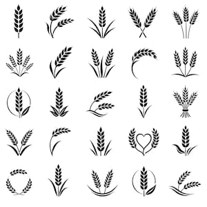 Pode incluir: Uma coleção de vinte e cinco ícones vetoriais em preto e branco representando vários arranjos de hastes de trigo, incluindo hastes individuais, feixes amarrados, hastes curvas e trigo emoldurado em formas circulares ou de coração.