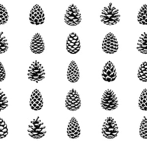 Kotte SVG-paket – 25 unika skogsfröikoner, svart konturlinjeteckning, vit bakgrund, vintergrön skogsnatur, Cricut-silhuett