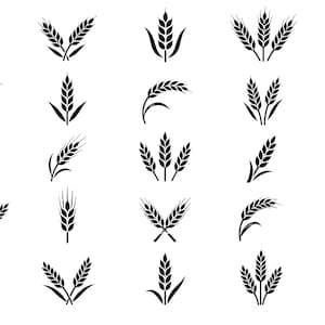 Peut inclure: Ensemble d'icônes noires représentant du blé ou des céréales, dans diverses dispositions. Les motifs incluent des épis uniques, des paires et des groupes de trois, avec des structures détaillées de feuilles et d'épis, sur fond blanc.