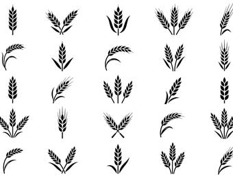 Paquete de imágenes SVG de espigas de trigo: 25 iconos únicos de granos con contorno negro, diseño de líneas gruesas, fondo blanco, archivos de corte para Cricut y Silhouette.