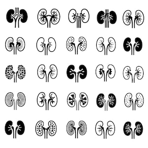 May include: A collection of black and white kidney illustrations in various styles. The images depict the kidney's shape and internal structures, suitable for medical or educational purposes. The designs vary from simple outlines to detailed anatomical representations.