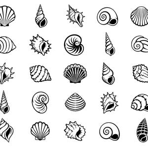 Puede incluir: Una colección de veinticinco ilustraciones distintas en blanco y negro de varios tipos de conchas marinas dispuestas en una cuadrícula de cinco por cinco. El conjunto incluye vieiras en abanico, caracolas en espiral y nautilos.