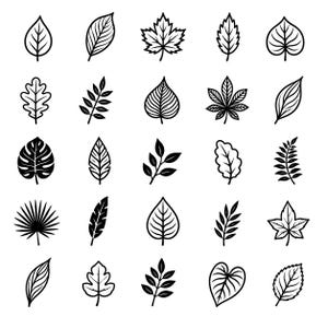 Könnte beinhalten: Eine Sammlung von 25 Schwarz-Weiß-Illustrationen von Blättern. Die Blätter variieren in Form und Größe, darunter Ahorn-, Eichen- und tropische Sorten. Die Illustrationen sind in einem Rastermuster auf weißem Hintergrund angeordnet.